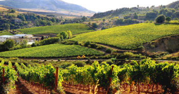 Torna Cantine Aperte: enoturismo, sapori, cultura e solidarietà Cantine Aperte