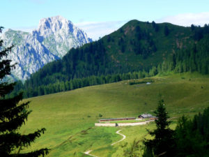 Malga Malins ©M.Tagliaferri