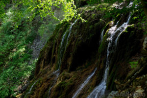 La Muschiosa - Cascate del Bucamante ©Sara Rubino La Muschiosa - Cascate del Bucamante ©Sara Rubino
