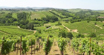 La scoperta di un Oltrepò Biodiverso attraverso vini, borghi e colline