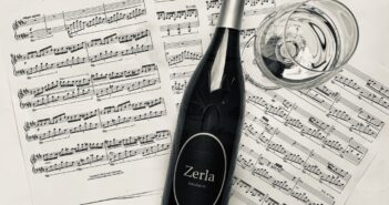 Igor, il musicista trentino che parla con i vini