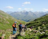 Tra boschi e montagne imponenti per escursioni, trekking e mountain bike in Valfurva