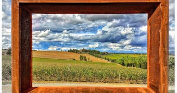 In fuga tra i vigneti toscani, i posti del cuore e del calice per ogni wine lover!