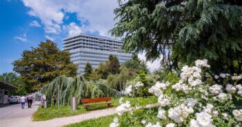 Nova Gorica, l’industria del divertimento anticipò la politica e aprì un “varco” sul confine