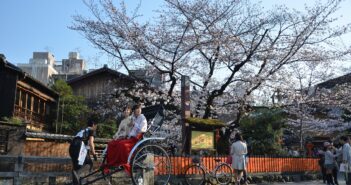 Giappone, Paese di contrasti. Dall’armonia dei giardini alla bellezza artificiale