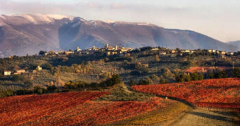L’Umbra in un calice, tra rosati, vermouth e cocktail d’autore