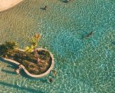 Un angolo di tropici alle porte di Milano
