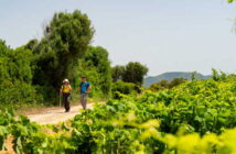 Un Cammino tra vigne e miniere nel Sulcis più selvaggio