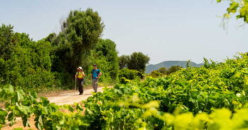 Cammino del Carignano, alla scoperta del Sulcis più selvaggio tra vigne e miniere