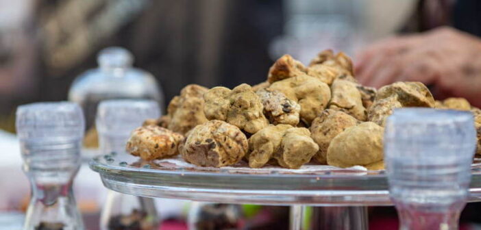 Asti celebra i Gioielli del suo Territorio