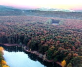 Pedalare lentamente tra sapori e borghi dell’Emilia occidentale