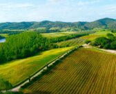 Tenuta Montauto: artigiani del vino in Maremma