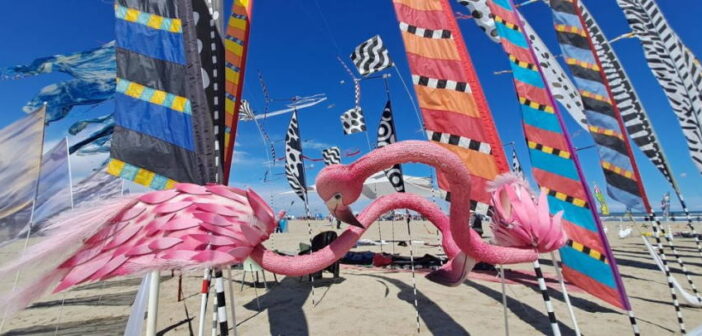 A Cervia undici giorni di vento e culture dal mondo