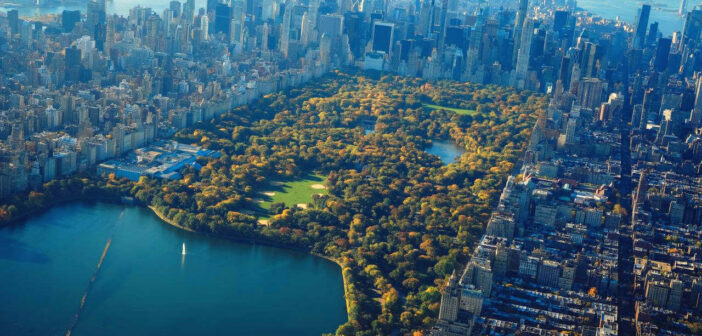 Scoprire New York d’estate dopo il tramonto a Central Park
